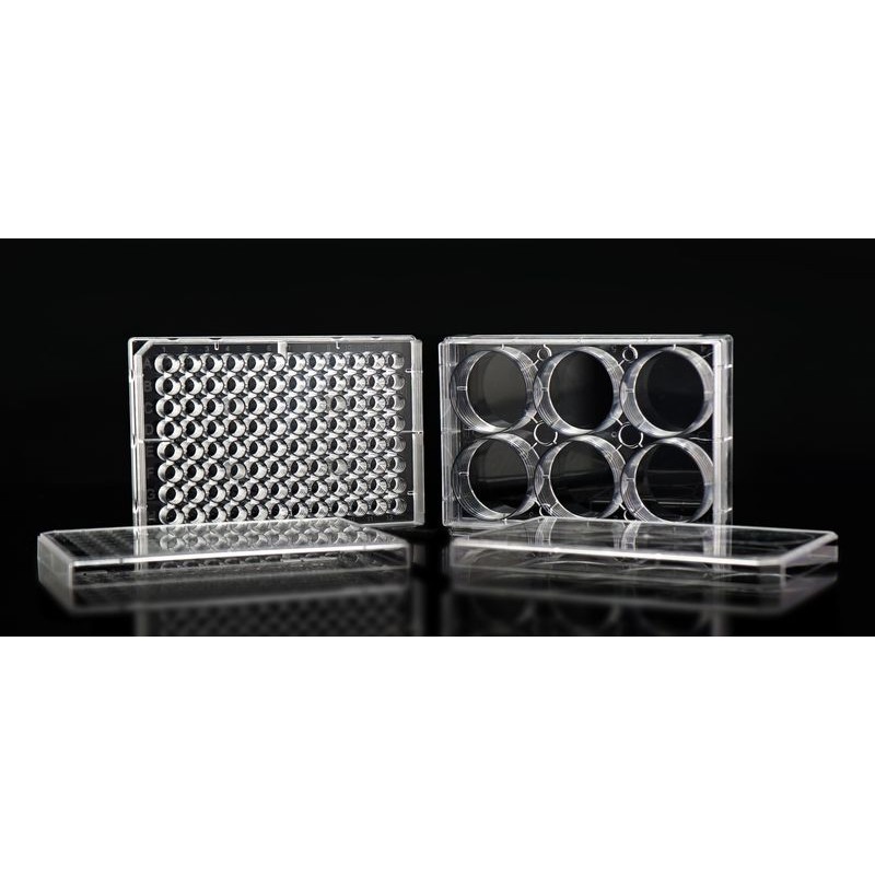 96 Well Low Evap EDGE Plate, Flat Bottom, Non-Treated, Sterile, 1/pk, 50/cs