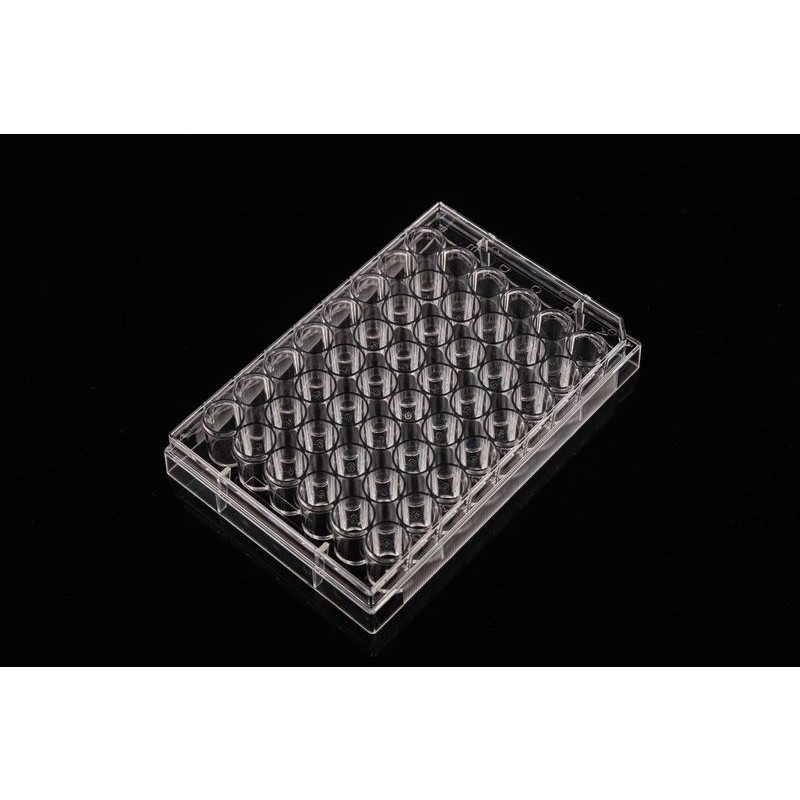 48 Well Cell Culture Plate, Flat, TC, Sterile, Individually plastic wrapped, 1/pk, 50/cs