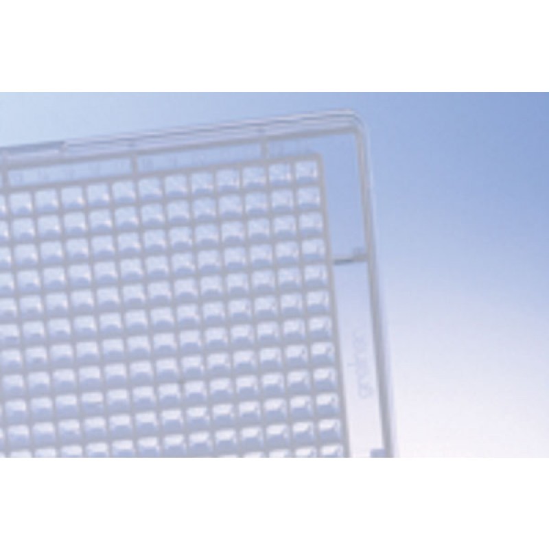 384W Plate, PP, Custom production, Flat Bottom, Natural