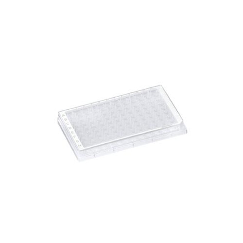 Plate 96 Well V Btm Std White