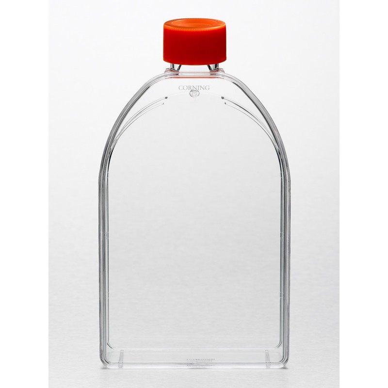 Corning® 150cm² U-Shaped Canted Neck Cell Culture Flask with Plug Seal Cap