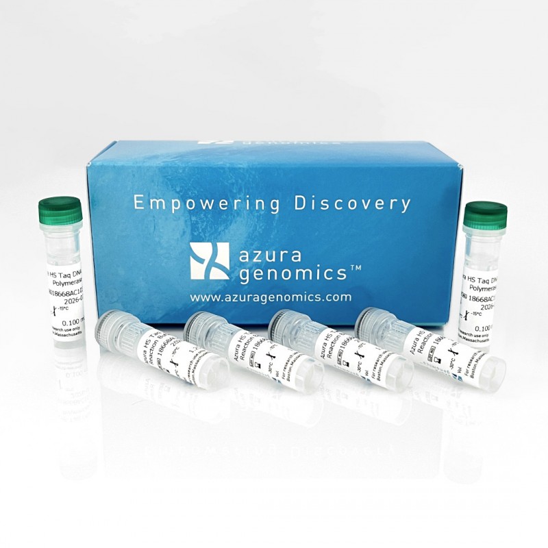 Azura HS Taq DNA Polymerase 1000 units