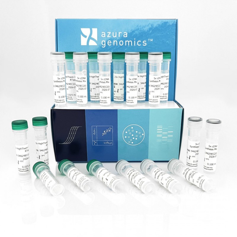 AzuraQuant II cDNA Synthesis Kit 500 Reactions