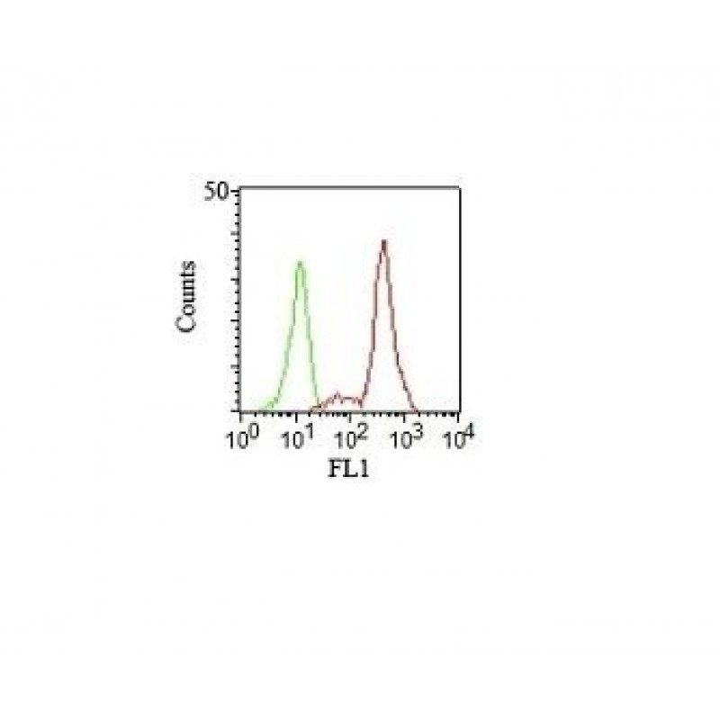 CD11c(HC1/1), CF640R conjugate, 0.1mg/mL