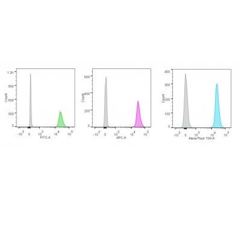 p55;50 EBV-Early Antigen(1108-1), CF647 conjugate, 0.1mg/mL