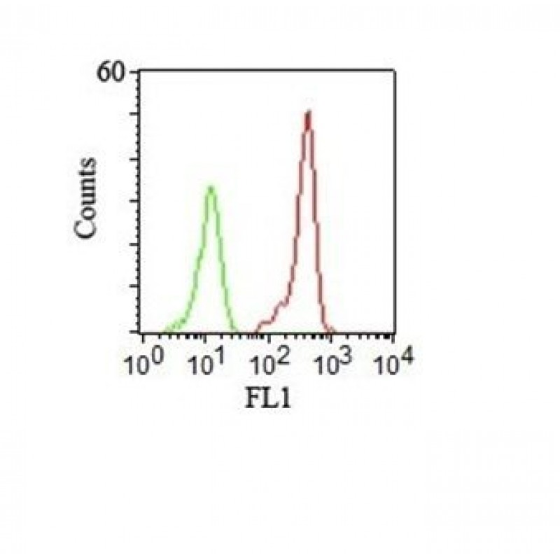 CD46(122.2), CF488A conjugate, 0.1mg/mL