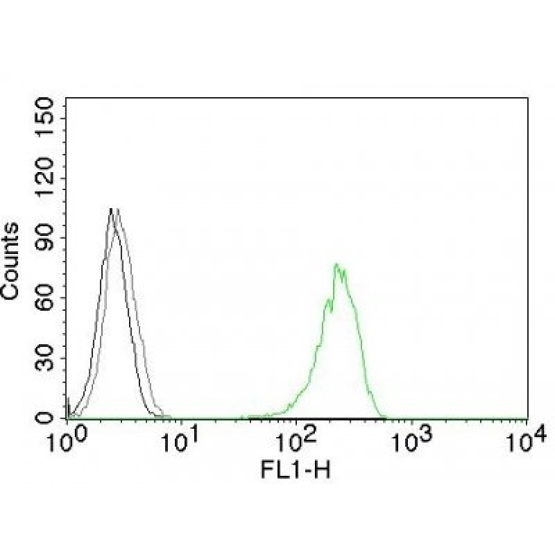 CD71(DF1513), CF488A conjugate, 0.1mg/mL