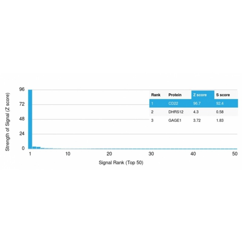Biotium BNCB1796-100, CD22 / BL-CAM (B-Cell Marker) (BLCAM/1796), Biotin conjugate, 0.1mg/mL