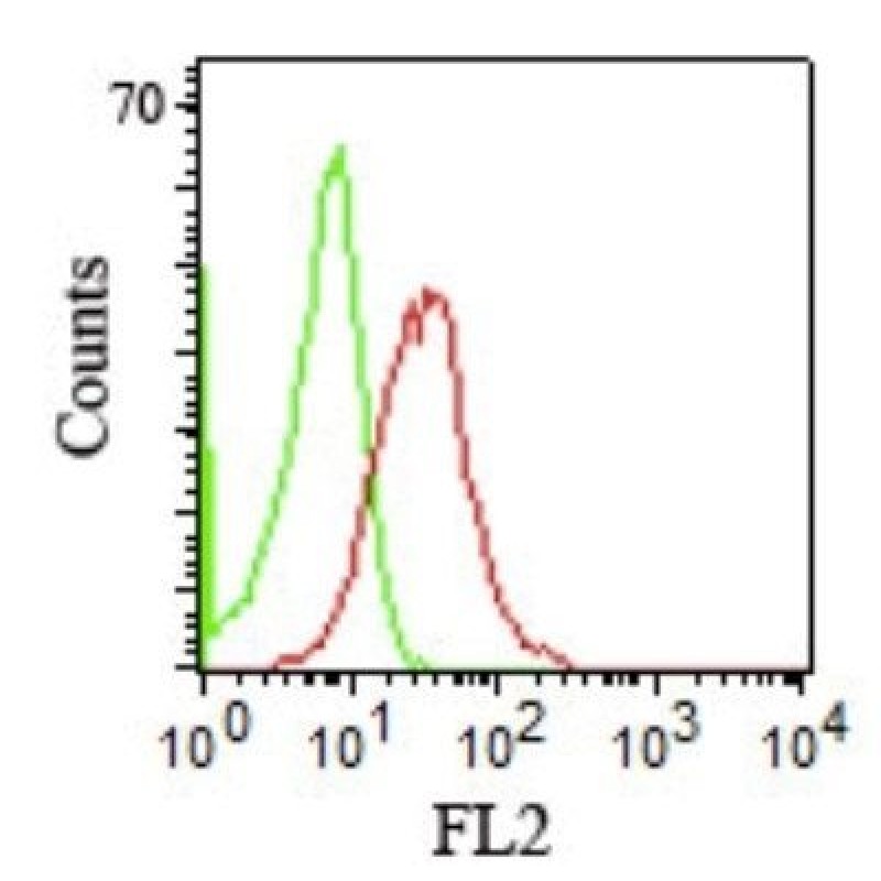 CD1b(RIV12), 1mg/mL