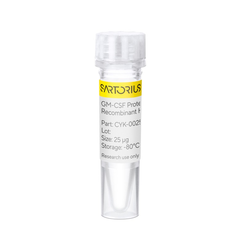 Sartorius CYK-0025-1019, Recomb Human GM-CSF Protein 0.025mg