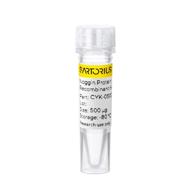 Sartorius CYK-0500-0016, Recomb Human Noggin Protein 0.5mg
