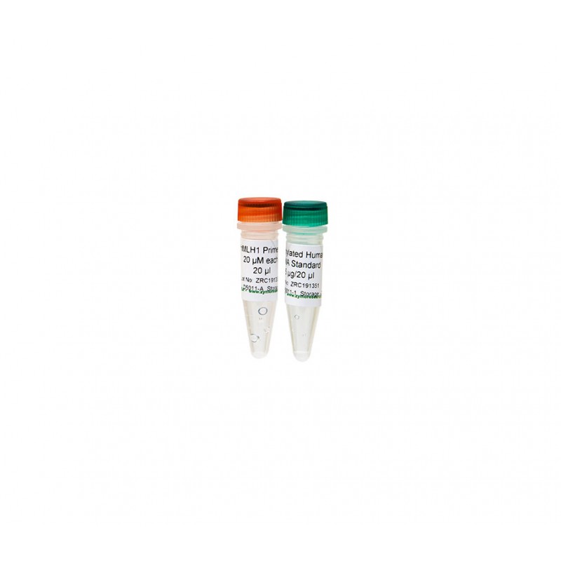 Universal Methylated Human DNA Standard
