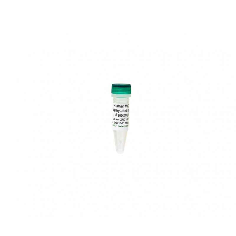 Human WGA Methylated DNA (5 μg / 20 μl)