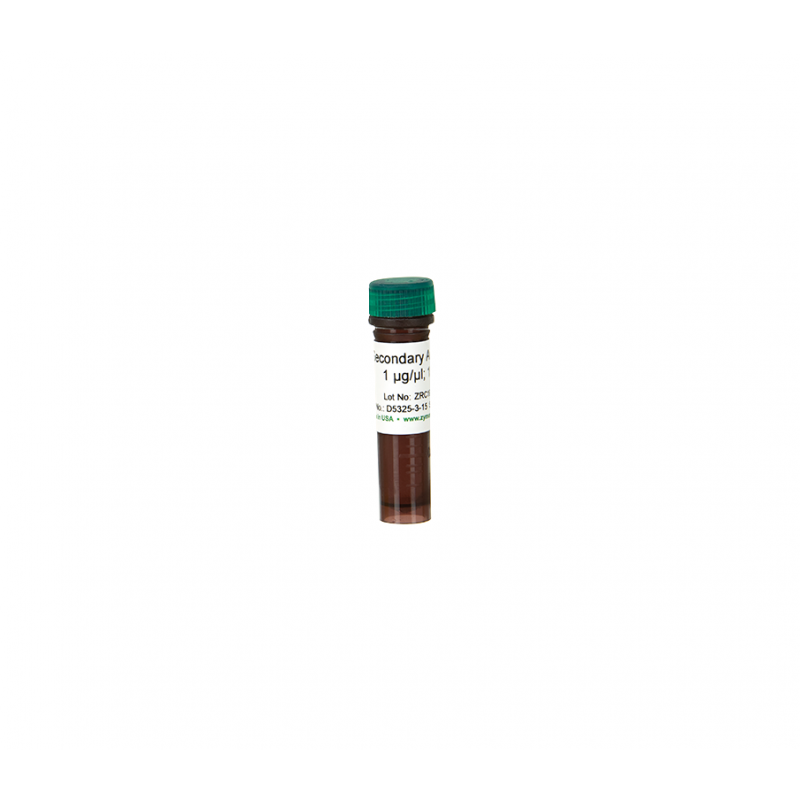 Secondary Antibody 15 ul @ 1 ug/ul '**'