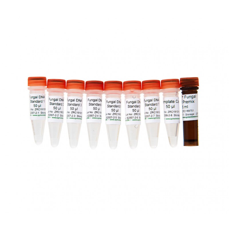 Femto™ Fungal DNA Quantification Kit