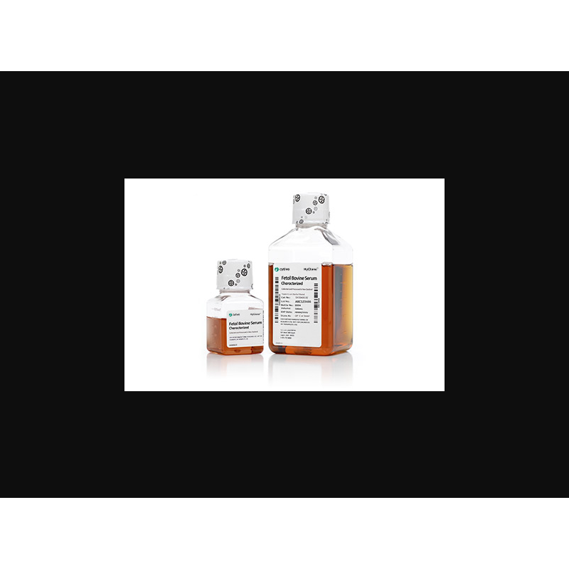 Cytiva SH30406.02 HyClone Characterized Fetal Bovine Serum, New Zealand Origin, 500 mL, 1/EA