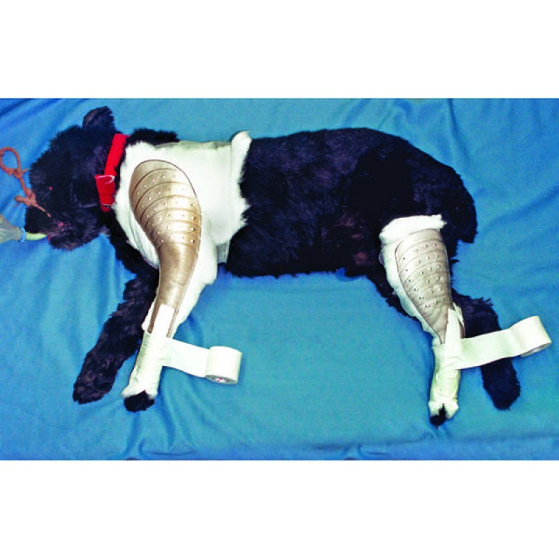 JORGENSEN LABS INC J0119SL QUICK SPLINT REAR LRG LEFT 4PK J0119SL