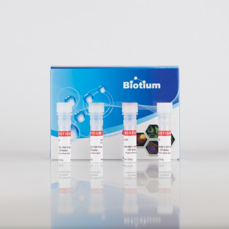 ExoBrite™ R-PE CD63 Flow Antibody (25 tests)