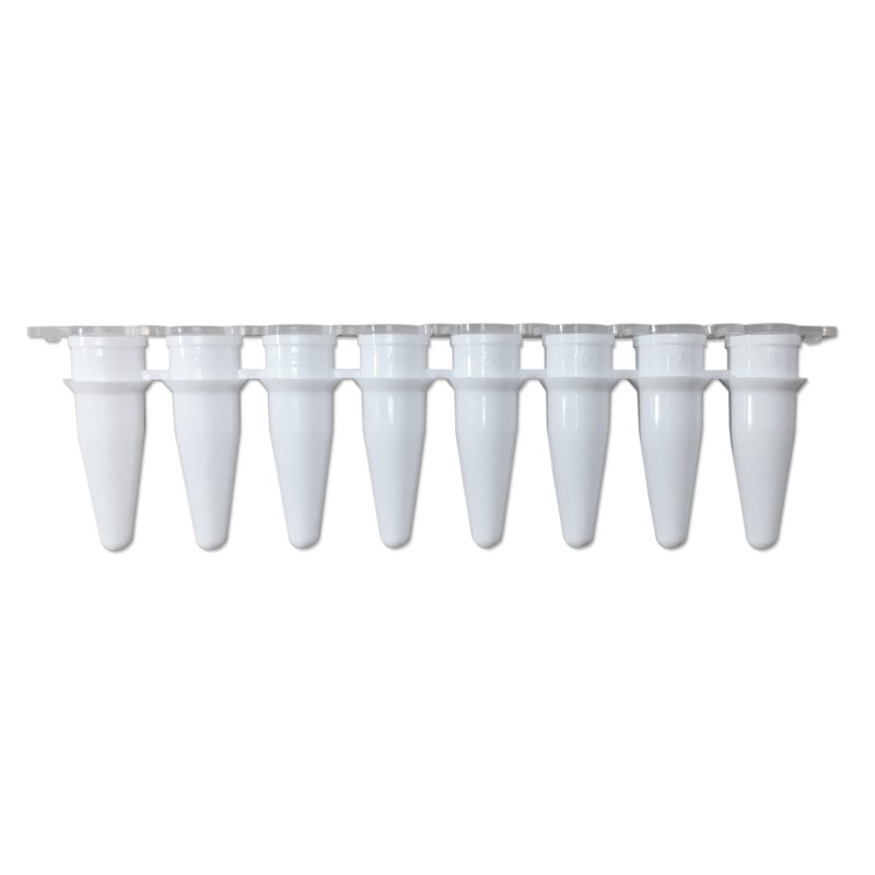 qPCR Strip Tubes