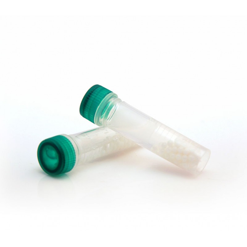 DNA/RNA Shield Lysis Tube (2 mm) (Tissue) (50 pack)