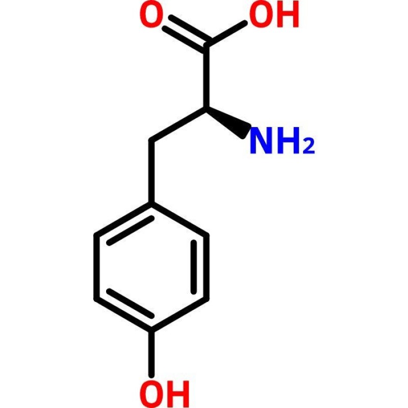 Spectrum Chemical T1153-5KG Tyrosine, USP 5kg, 1/EA
