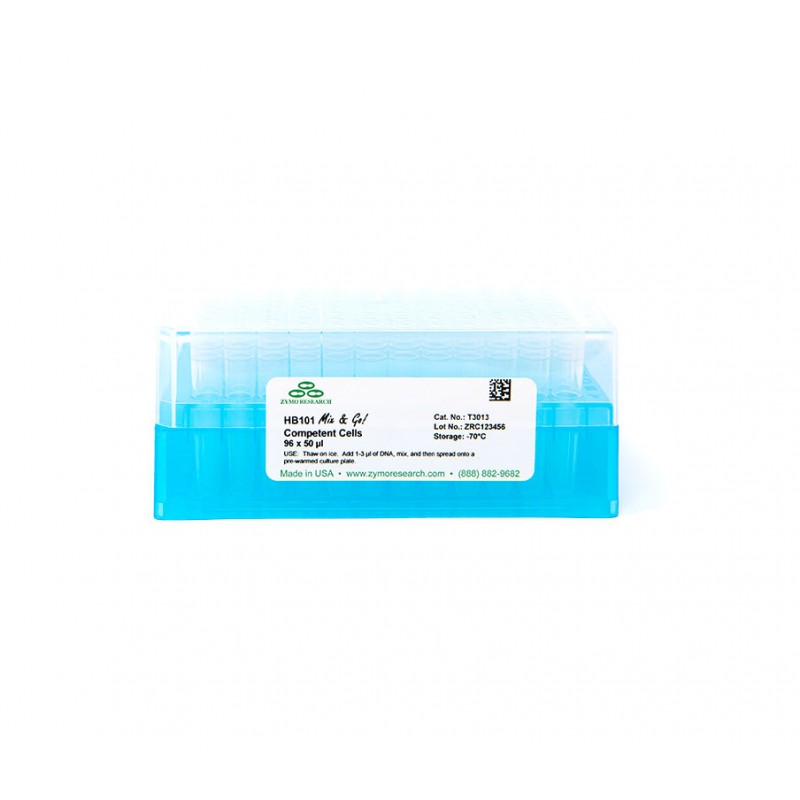 Mix & Go! Competent Cells-HB101 (10 x 100 μl)
