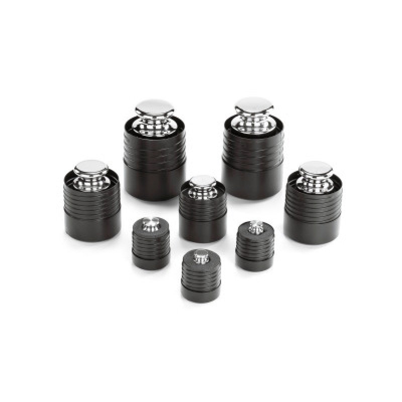 Sartorius Plastic screw box for 200 g weights