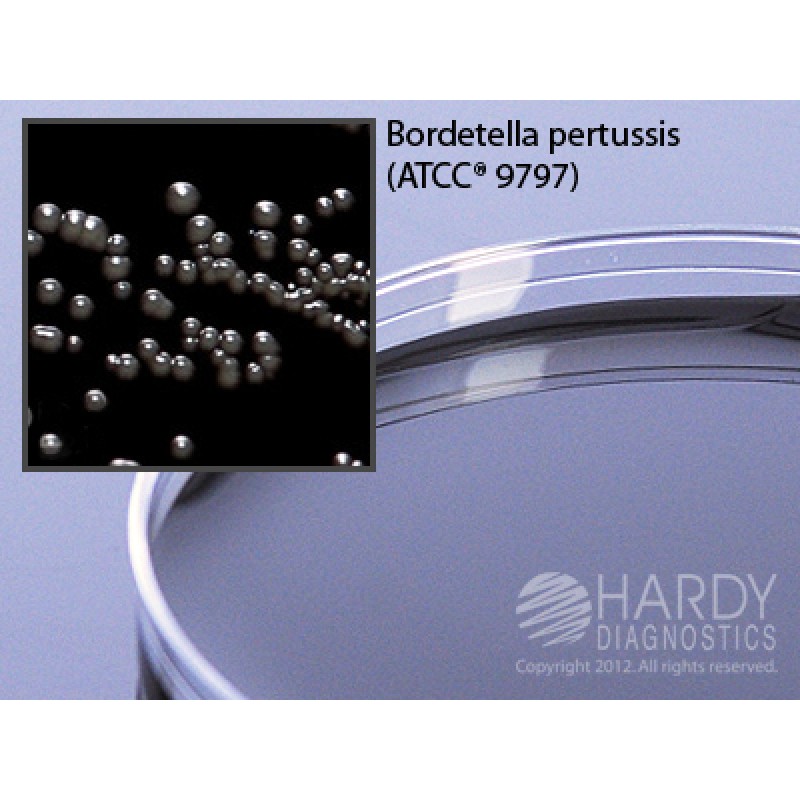 Hardy Diagnostic A63 Dry Culture Media, Regan Lowe w/o Cephalexin Plate,  70 Day Shelf Life (Pack of 10)