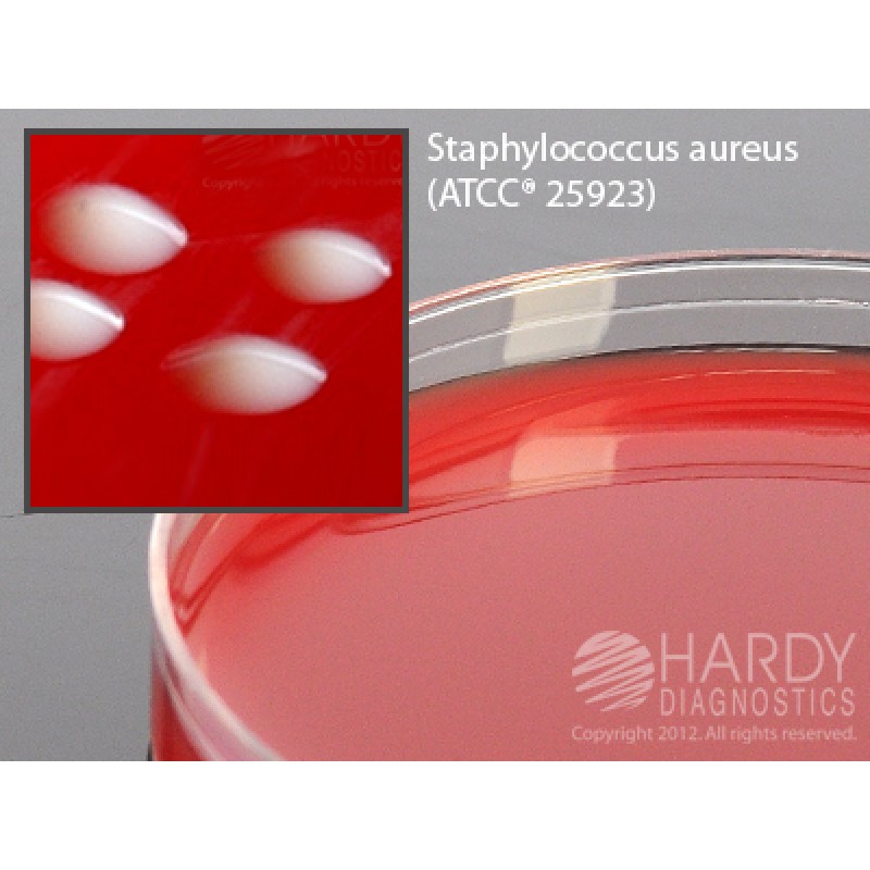 Hardy Diagnostic A66 Dry Culture Media, Rose Agar (CNA+PEA) Plate,  90 Day Shelf Life (Pack of 10)