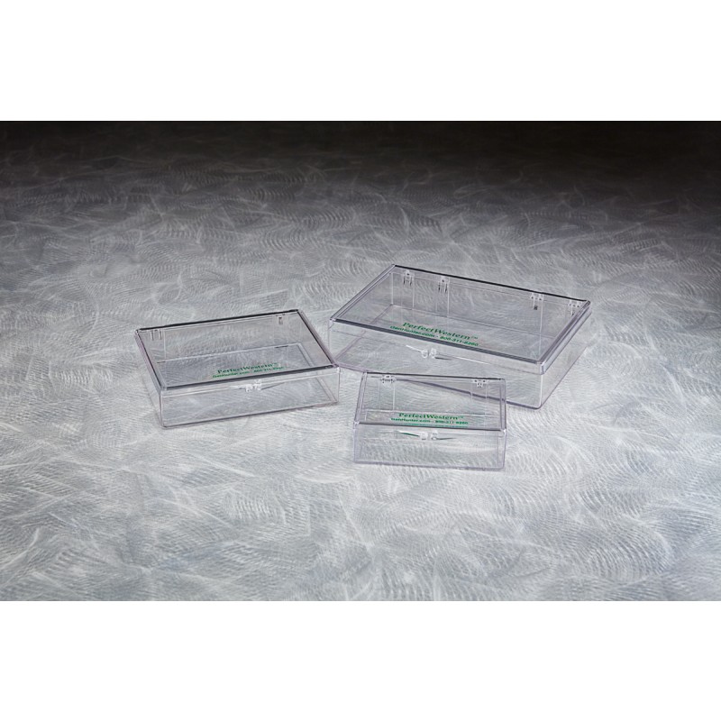 IBI Scientific ACCBW0010 Yellow Tray, Yellow Lid,  7.3 x 5.1 x 3.3 cm, Blot Washes (Pack of 1)
