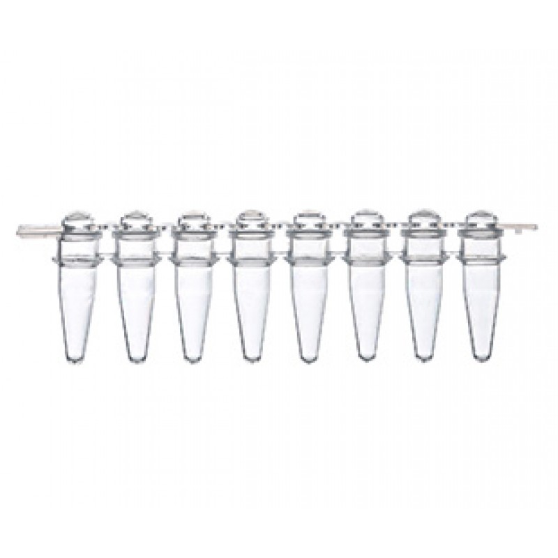 Sapphire PCR 0.2ml strips with attached strip of optical caps for Real Time PCR, Clear