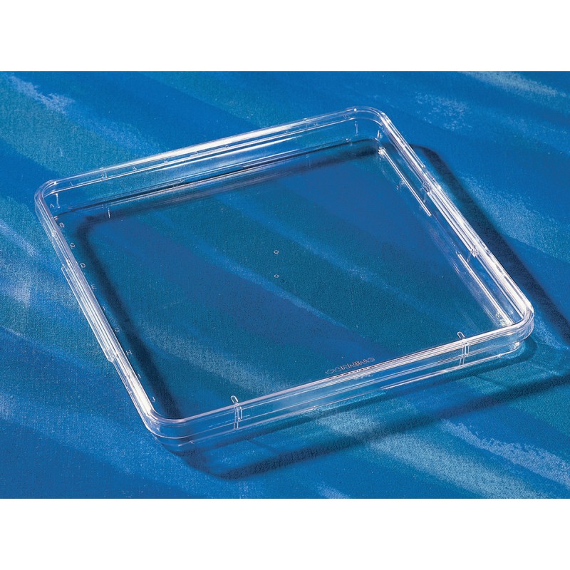 Corning® 245 mm Square Low Profile BioAssay Dish without Handles, not TC-treated