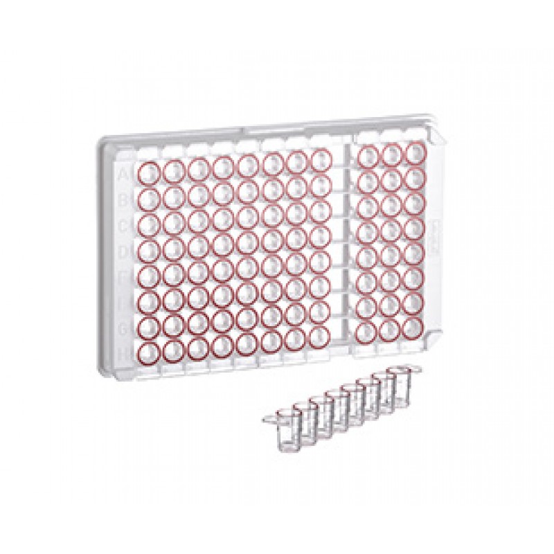 96W C8 Single-break MICROLON® 600 Strip Plate, PS, High Binding, 1x8 Break-Apart C-Bottom (Flat w/curved edge) Strips, Clear Wells w/Red Rim