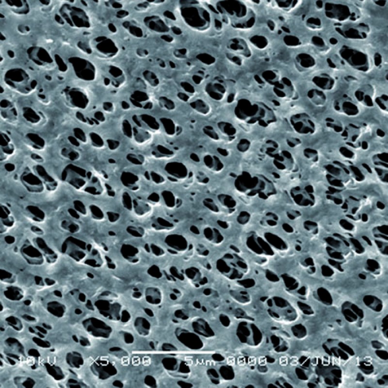 GVS Life Sciences 1213817 Hydrophilic Nylon Filter Membrane 10 µm, 13 mm (100/Pack)