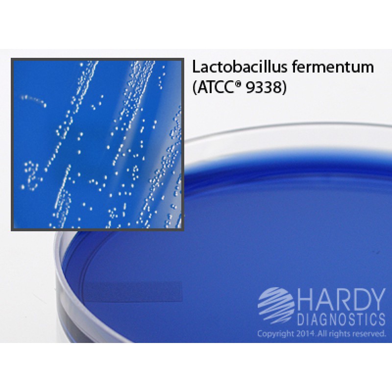 Hardy Diagnostic G10 Dry Culture Media, HHD Medium Plate,  90 Day Shelf Life (Pack of 10)