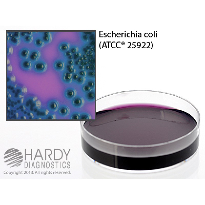 Hardy Diagnostic G126 Dry Culture Media, m FC w/ 1% Rosolic Acid Plate,  90 Day Shelf Life (Pack of 10)
