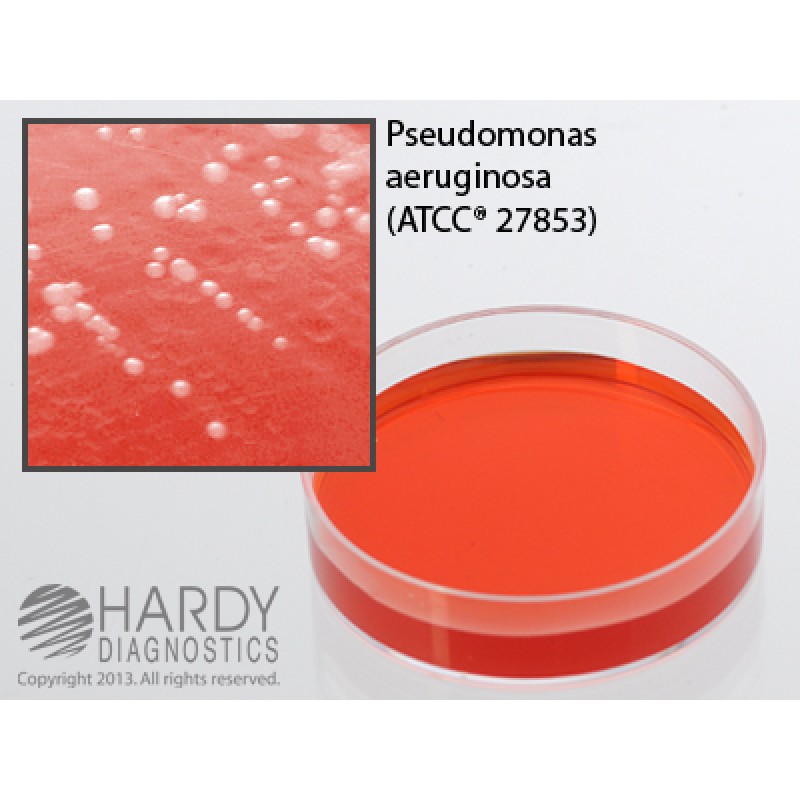 Hardy Diagnostic G150 Dry Culture Media, m-PA-C Agar Plate,  21 Day Shelf Life (Pack of 10)