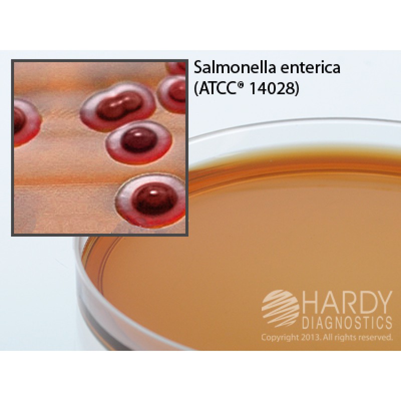 Hardy Diagnostic G175 Dry Culture Media, Brilliant Grn Agar w/ Novo Plate,  90 Day Shelf Life (Pack of 10)