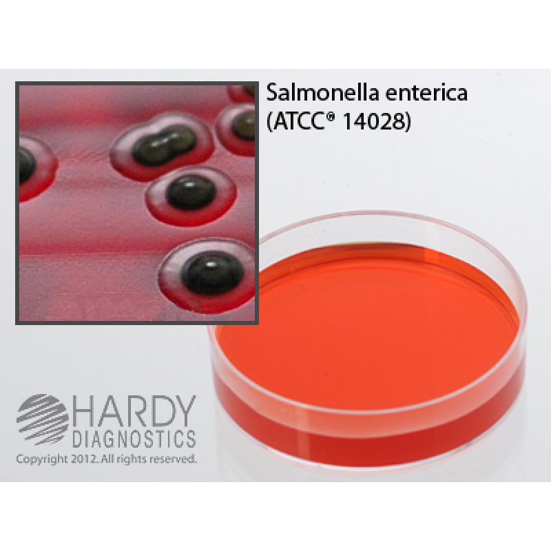 Hardy Diagnostic G277 Dry Culture Media, XLT4 Agar Plate,  60 Day Shelf Life (Pack of 10)