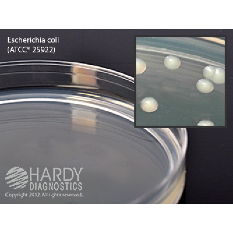 Hardy Diagnostic G43 Dry Culture Media, Standard Methods Agar Plate,  120 Day Shelf Life (Pack of 10)