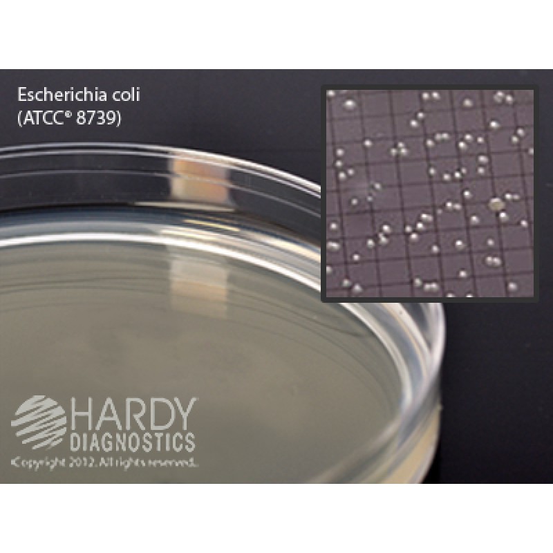 Hardy Diagnostic G54 Dry Culture Media R2a Agar Plate 100 Day Shelf Life Pack Of 10
