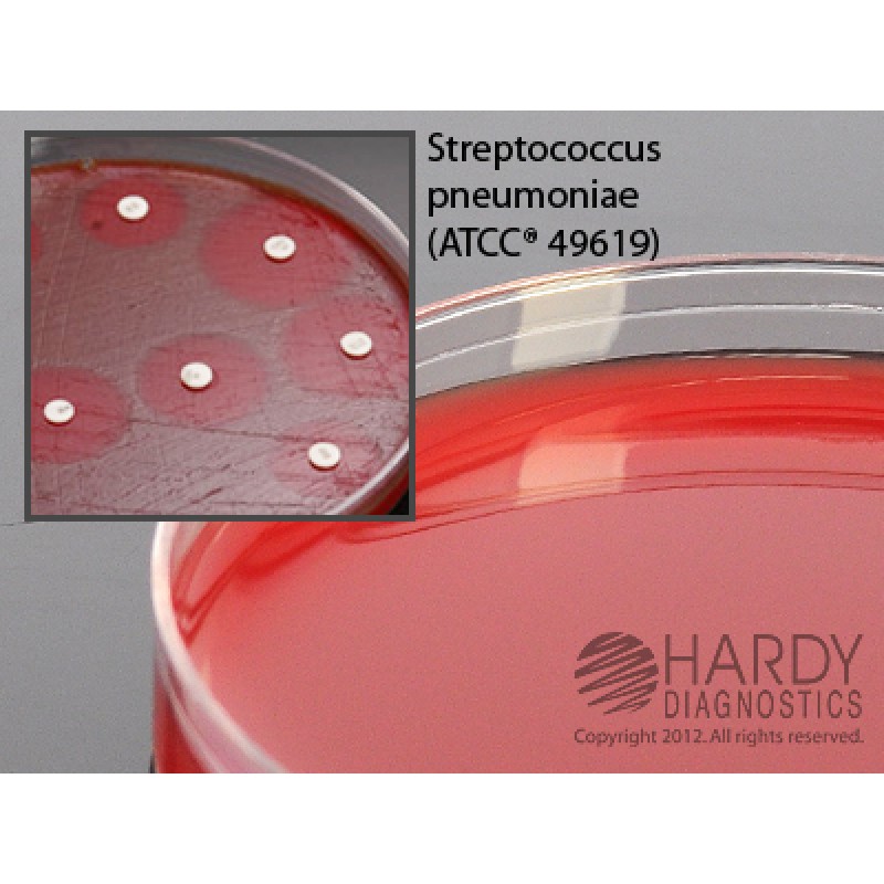 Hardy Diagnostic H21 Dry Culture Media, Mueller Hinton Agar w/ Blood Plate,  70 Day Shelf Life (Pack of 10)