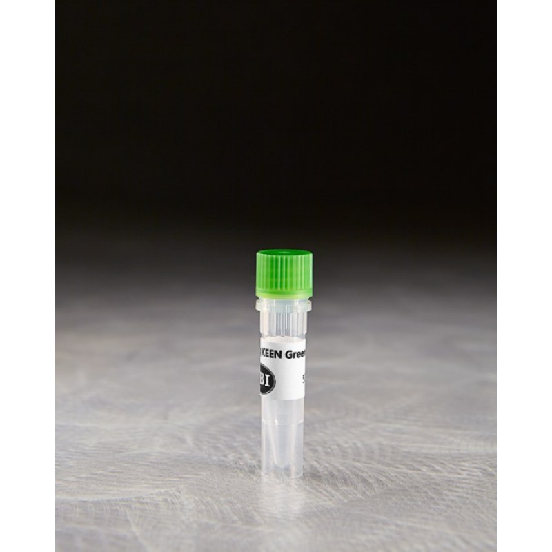 Discontinued: IBI Scientific Taq KeenGreen 2x Master Mix, 500 rxns