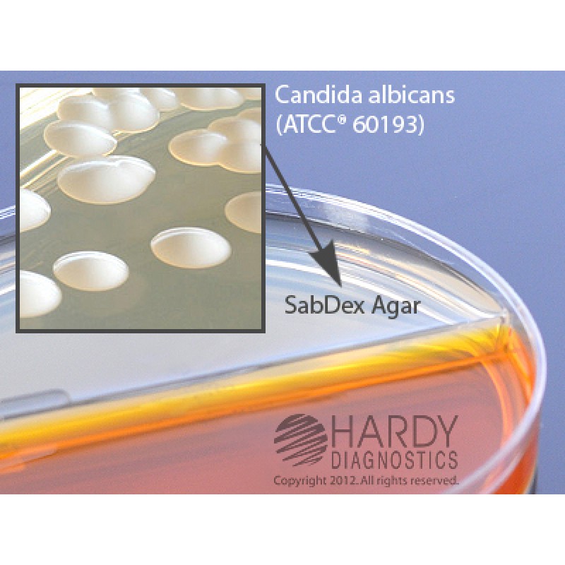 Hardy Diagnostic J107 Dry Culture Media, Sabdex C&G/DTM Biplate Biplate,  120 Day Shelf Life (Pack of 10)