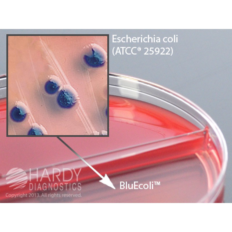 Hardy Diagnostic J116 Dry Culture Media, CNA/BluEcoli Biplate,  80 Day Shelf Life (Pack of 10)