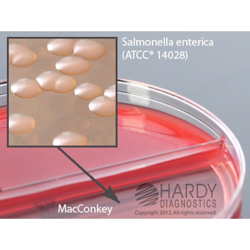 Hardy Diagnostic J129 Dry Culture Media, Bovine Blood w/ Esc/MAC Biplate,  60 Day Shelf Life (Pack of 10)