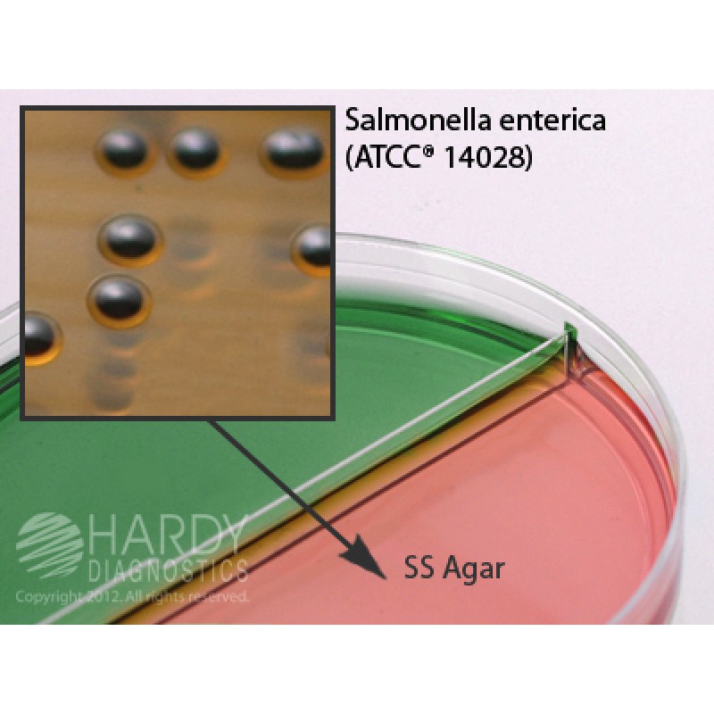 Hardy Diagnostic J139 Dry Culture Media, HE Agar/SS Agar Biplate,  80 Day Shelf Life (Pack of 10)