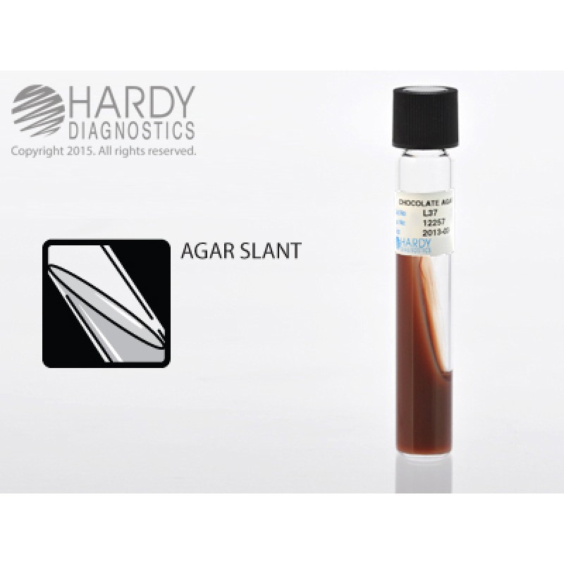 Hardy Diagnostic L37 Liquid Culture Media, Chocolate Agar Slant Tube,  180 Day Shelf Life (Pack of 20)