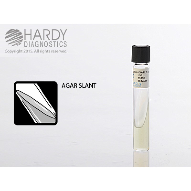 Hardy Diagnostic L96 Liquid Culture Media, Tech Agar Slant Tube,  5.5 mL, 180 Day Shelf Life (Pack of 20)