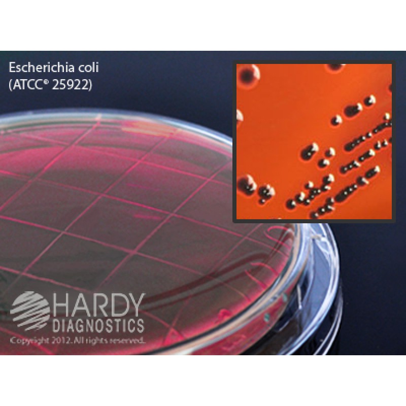 Hardy Diagnostic P09 Dry Culture Media, EMB Contact Plate,  90 Day Shelf Life (Pack of 10)